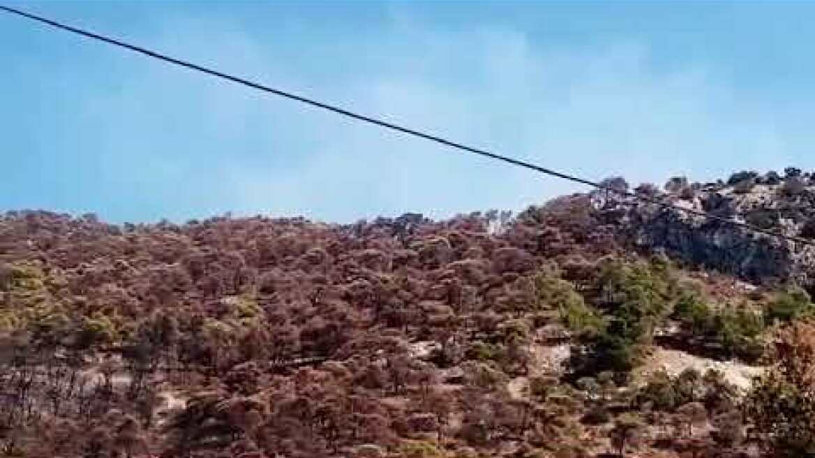 Φωτιά στα Δερβενοχώρια (2)