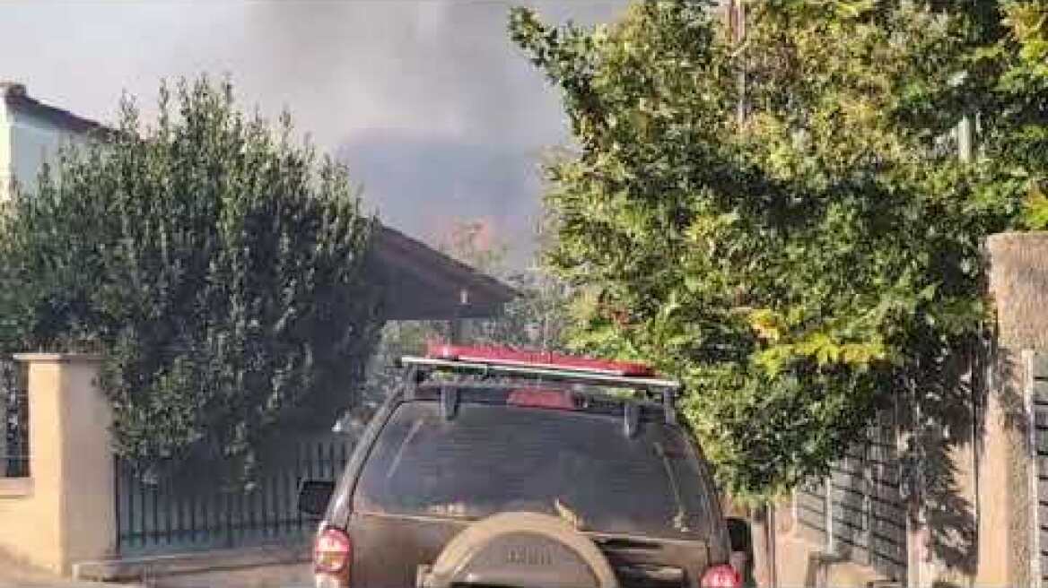 Έπεσε η ένταση του ανέμου στο Κρυονέρι - Καλύτερη η εικόνα της πυρκαγιάς - Μάχη για να μην περάσει η φωτιά στην Πάρνηθα Φωτιά στη Δροσοπηγή (11)