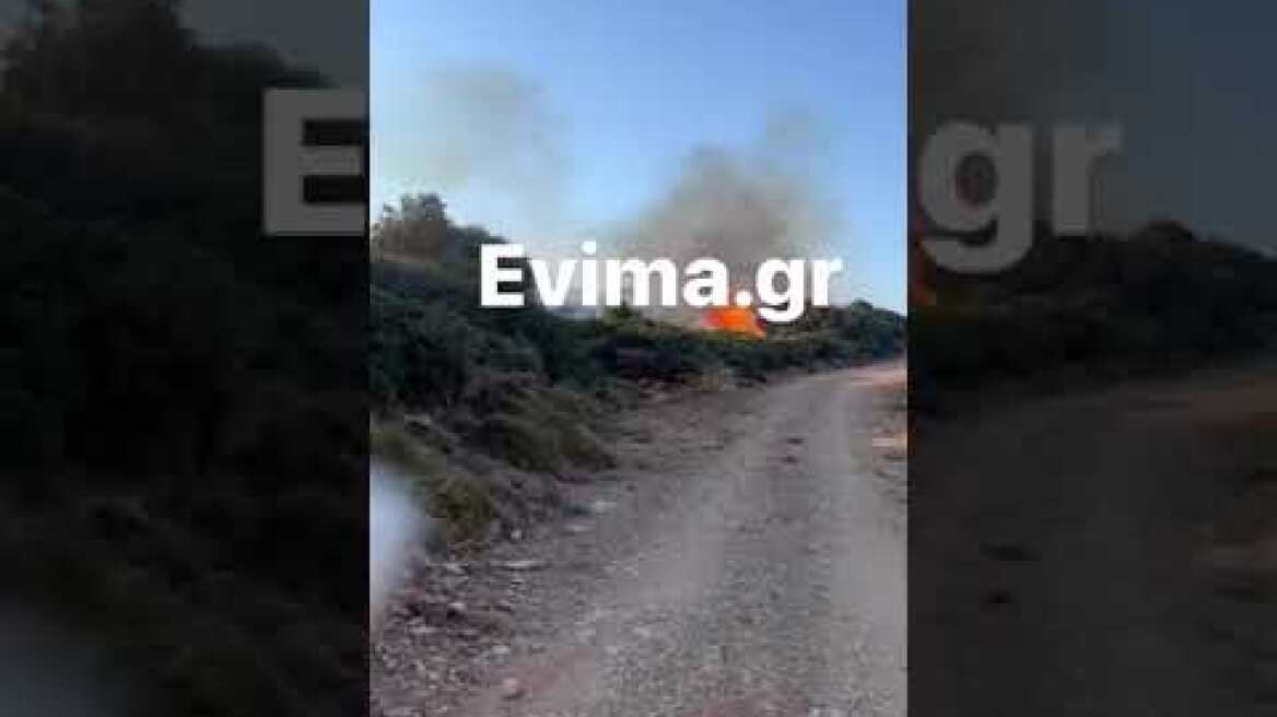 Φωτιά στους Τσακαίους Ευβοίας