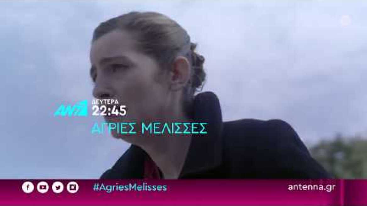 Άγριες Μέλισσες – Δευτέρα 17/02