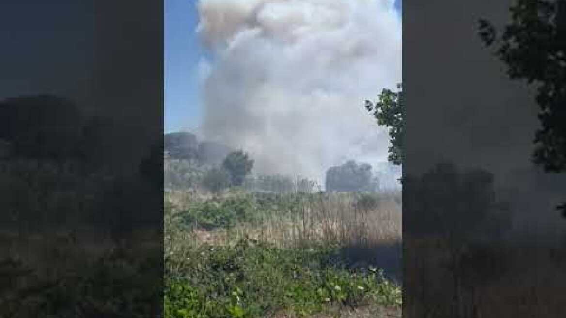 Φωτιά στη Λεωφόρο Μαραθώνος στη Ραφήνα (1)