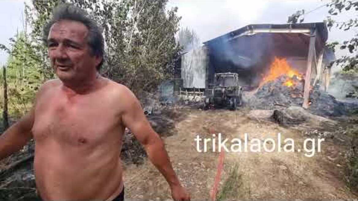 Τρίκαλα καταστροφική μεγάλη φωτιά κτηνοτροφική μονάδα Φήκη Άγιος Βησσαρίωνας Τετάρτη 12-6-2024