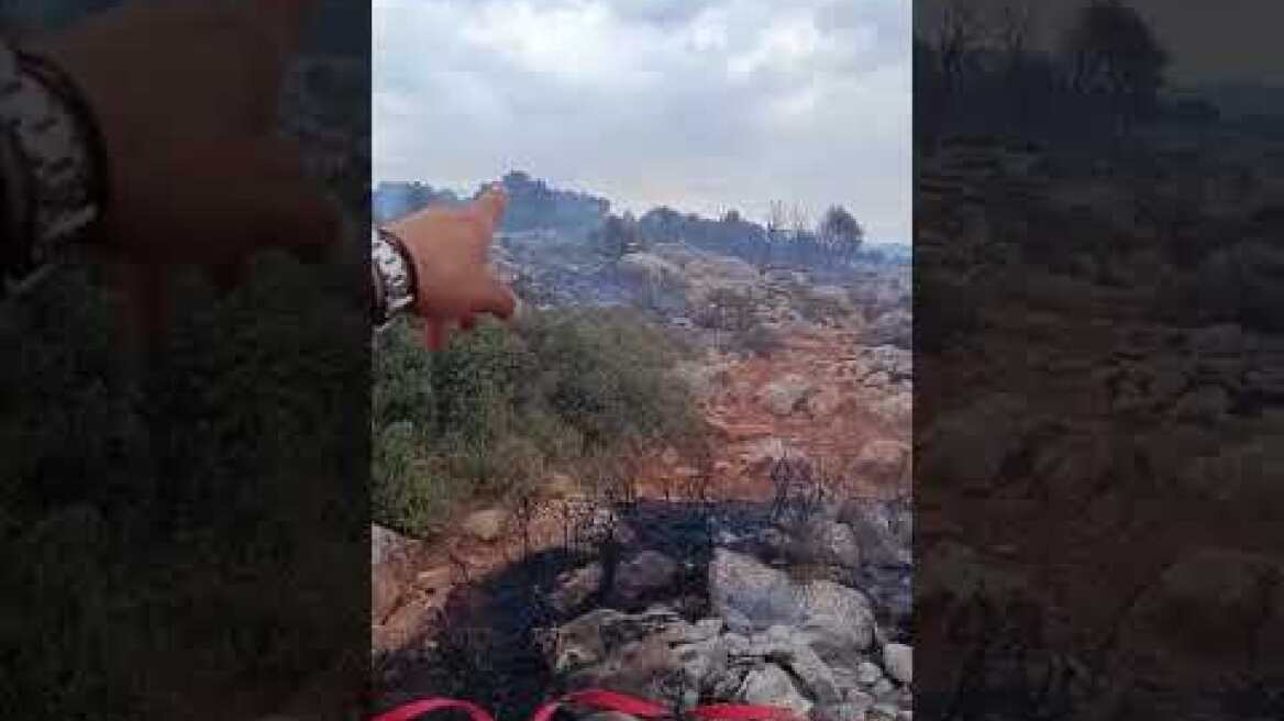 Φωτιά τώρα σε δάσος στο Καλό Πηγάδι Φωκίδας