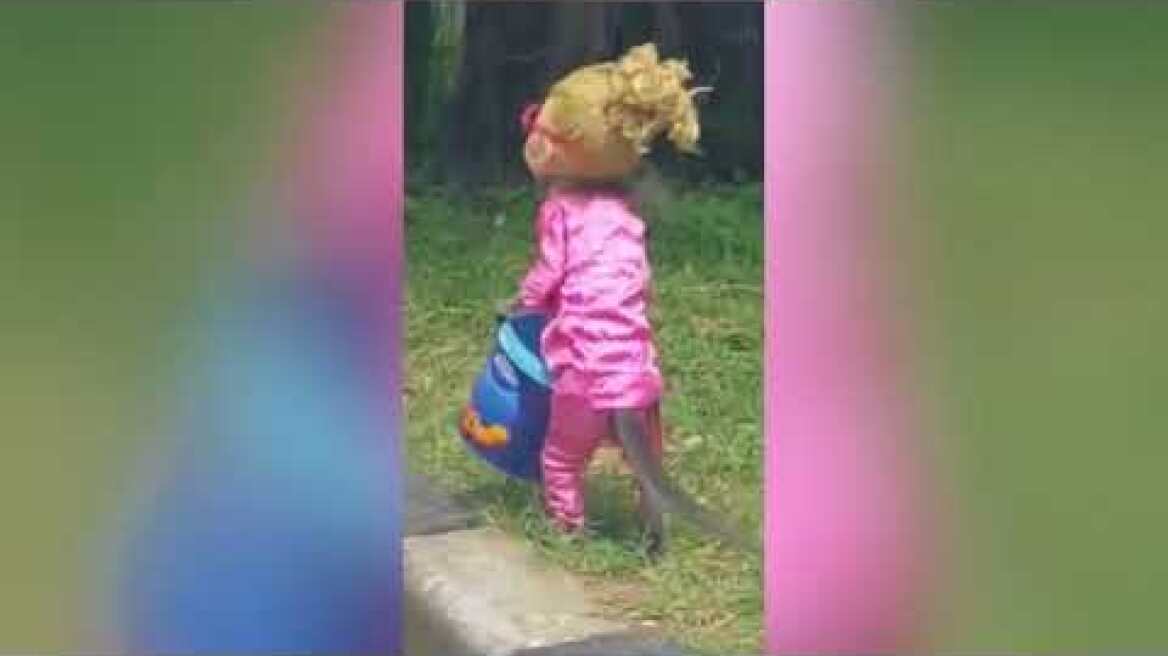 monkey dressed up as a blonde doll and cruelly chained to side of the road in Indonesia