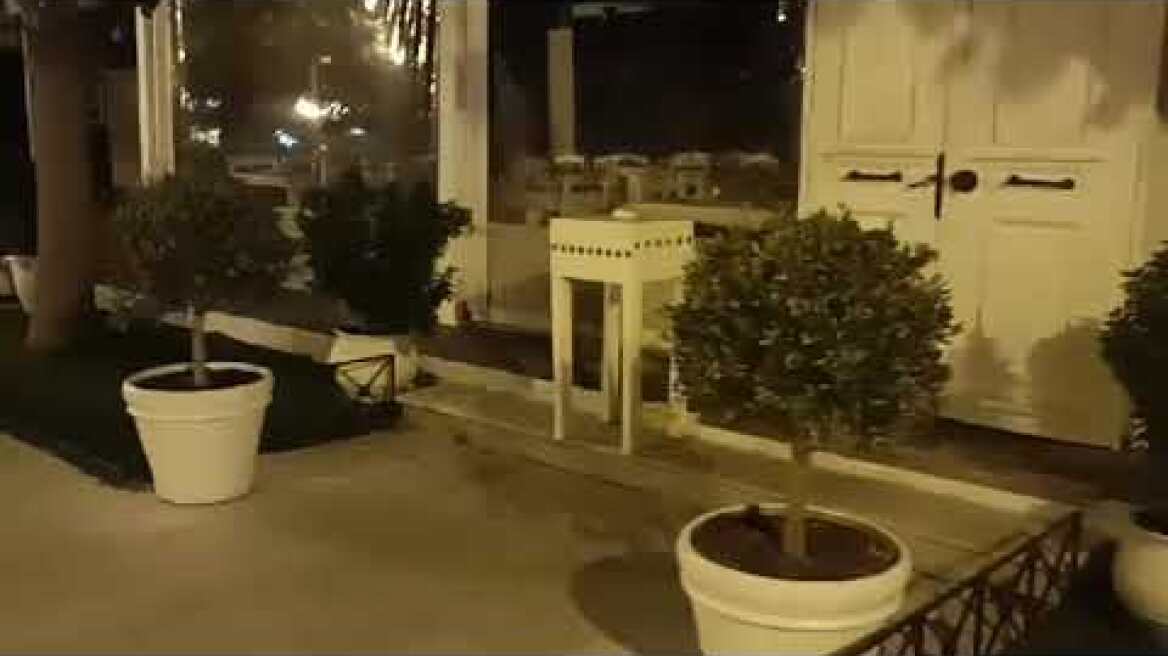 Τραυματισμένο αλεπουδάκι αναζητά τροφή στην πλατεία της Ραφήνας