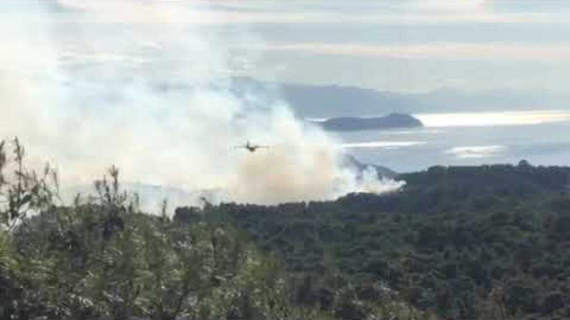 Ρίψεις Αλεποχώρι