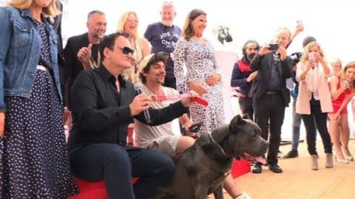 Tarantino accepte le 'Palm Dog' pour la star canine 'Brandy' | AFP Images