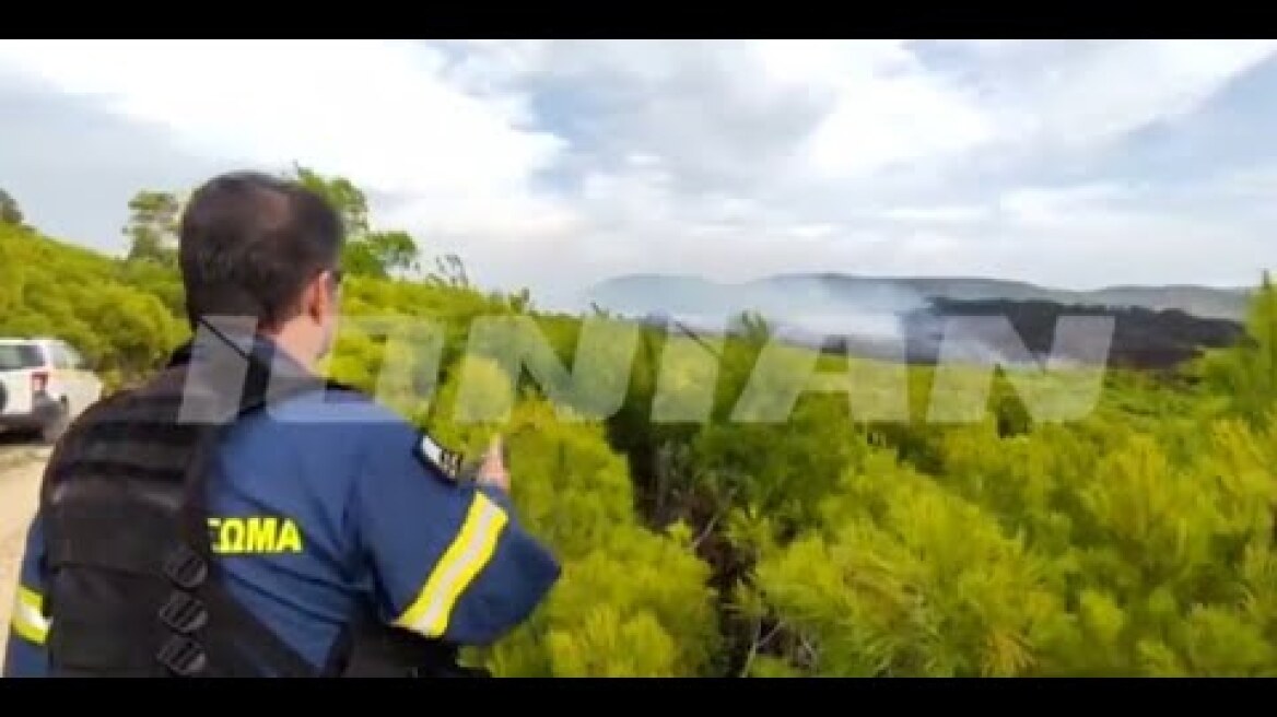 Ζάκυνθος  | Φωτιά στις Μαριές - Επί ποδός η Πυροσβεστική