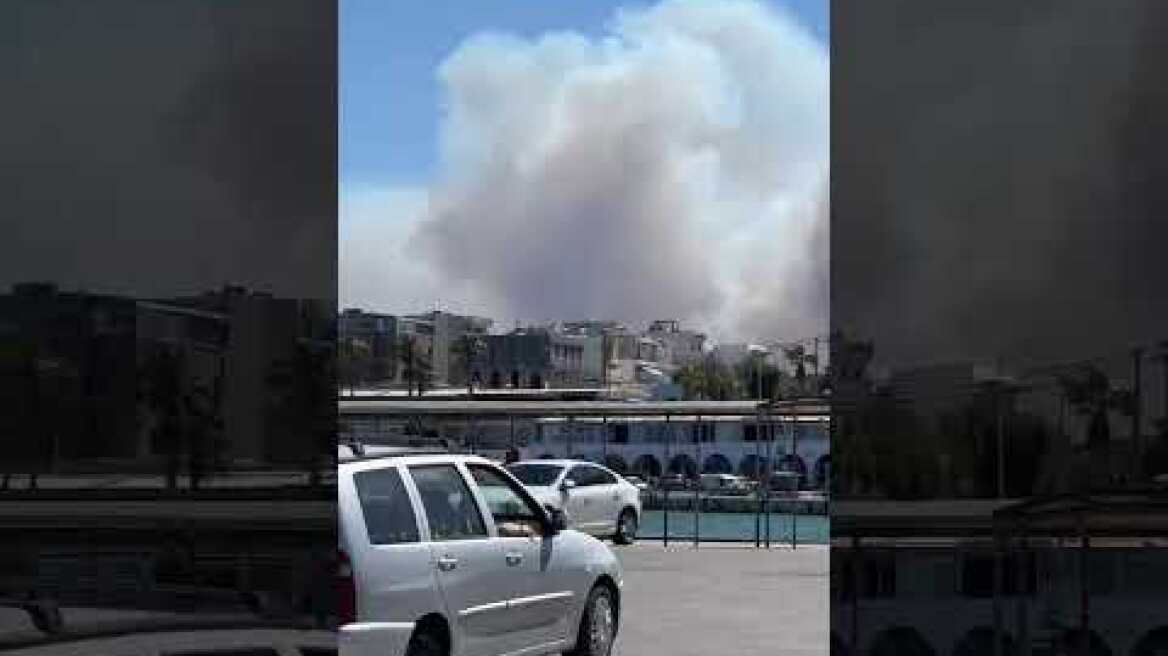 Φωτιά στη Ραφήνα (3)