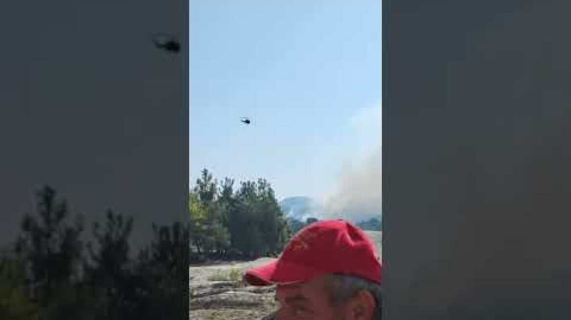 Στυλιανίδης, Αμυράς στα μέτωπα φωτιάς της Δαδιάς