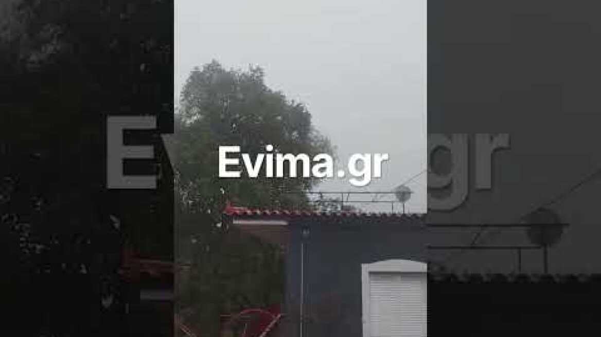 Πλημμύρισαν σπίτια στην Εύβοια από την κακοκαιρία