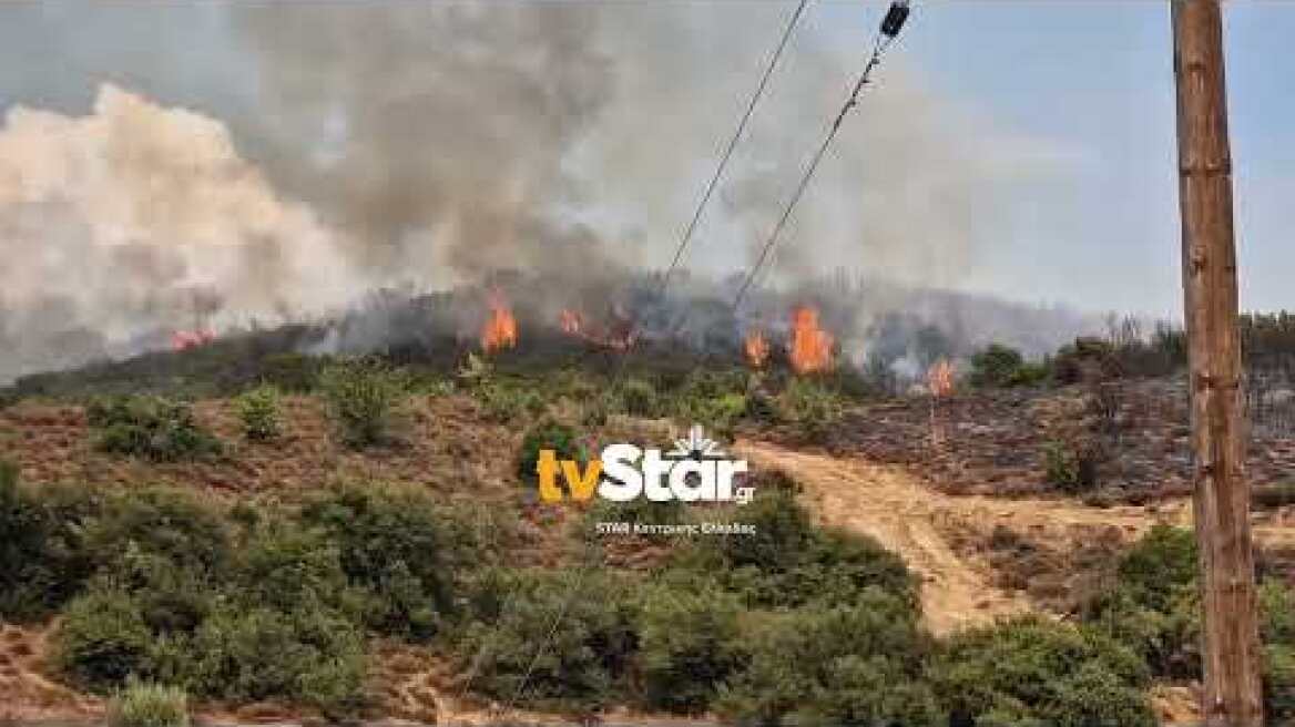 Αναζωπύρωση της φωτιάς στη Βίτωλη Μακρακώμης