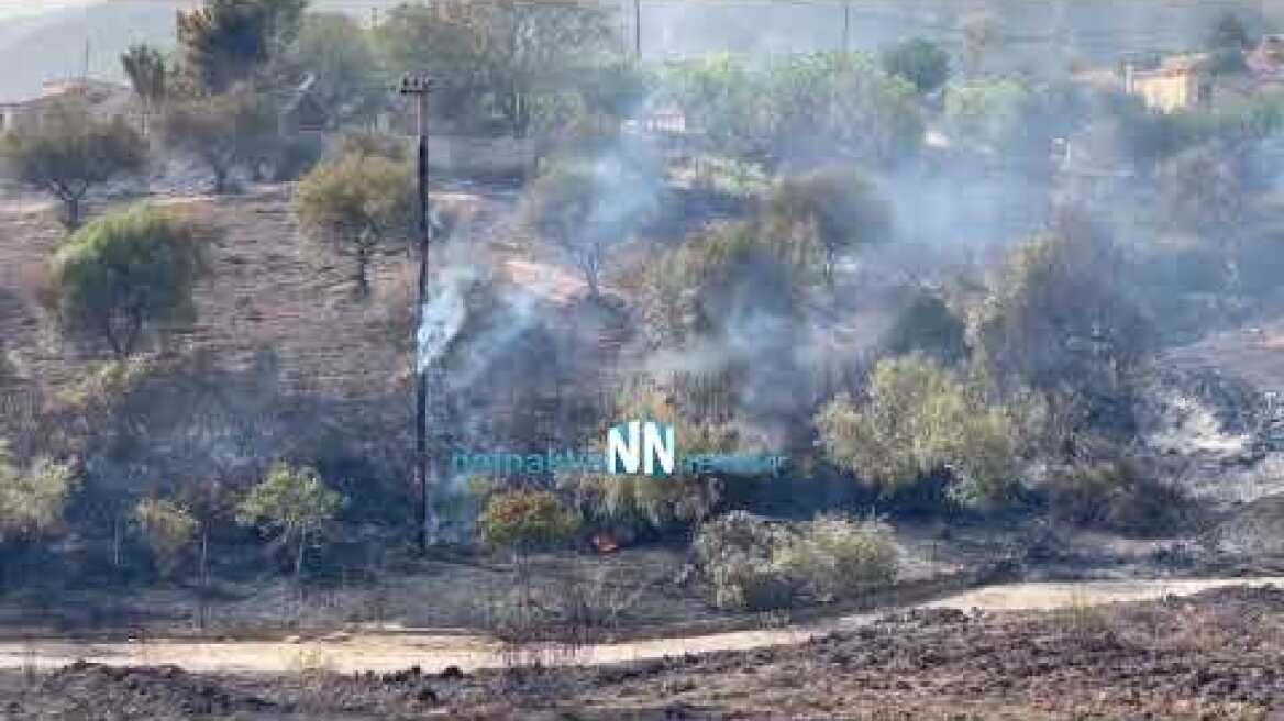 Πύρινη κόλαση στην  Ελαία Φωκίδας - Πρώτες Αποκλειστικές εικόνες -Καίγονται σπίτια