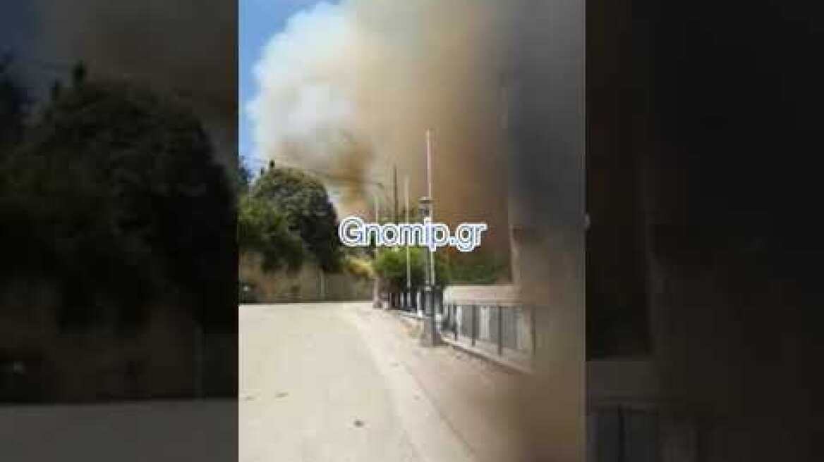 Gnomip Καμπάνες για εκκένωση Ζηρια