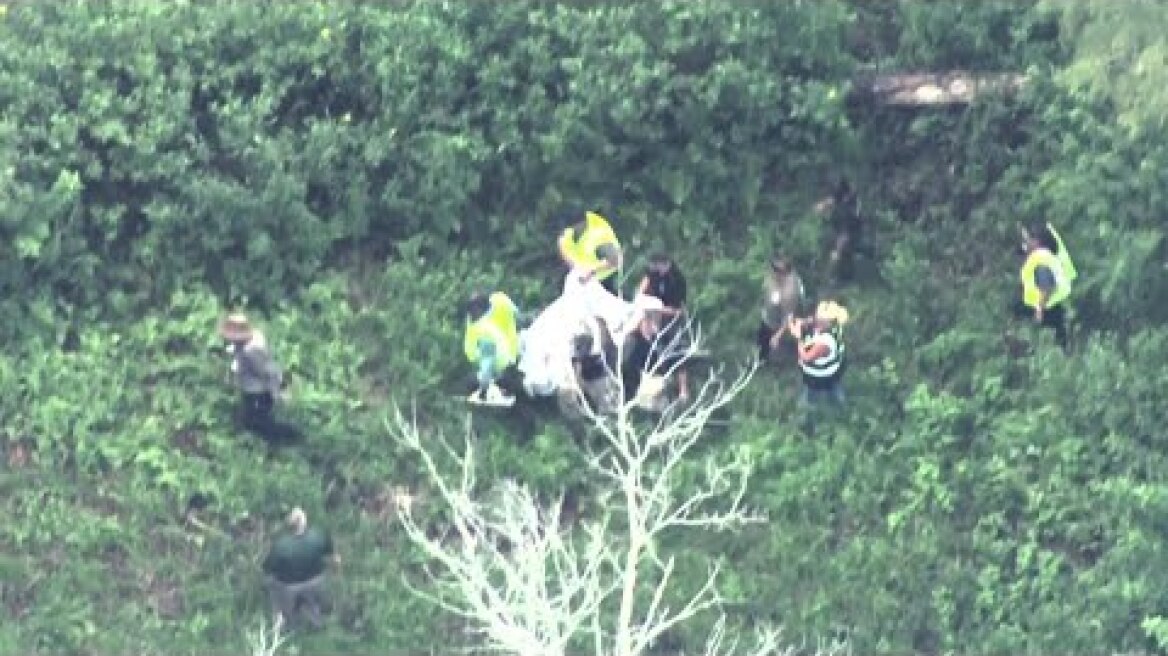 VIDEO: Officials remove black bear seen that prompts closure of some Disney World rides