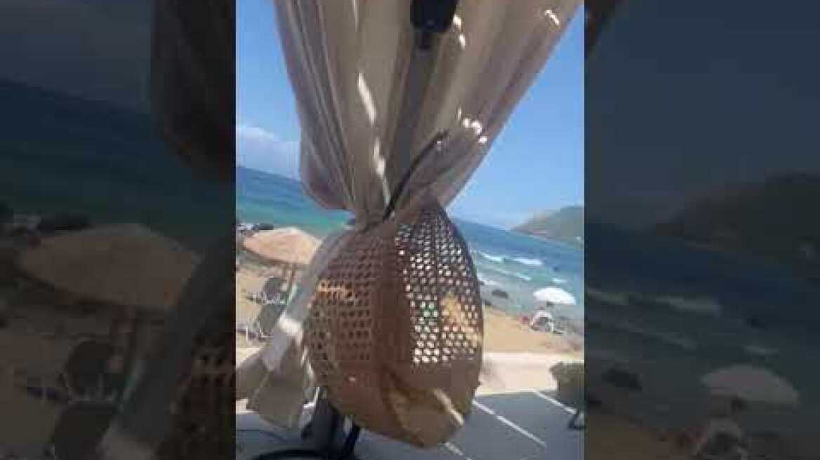 Κίνημα της πετσέτας: Έλεγχοι σε Κοντογυαλό Κέρκυρας 4