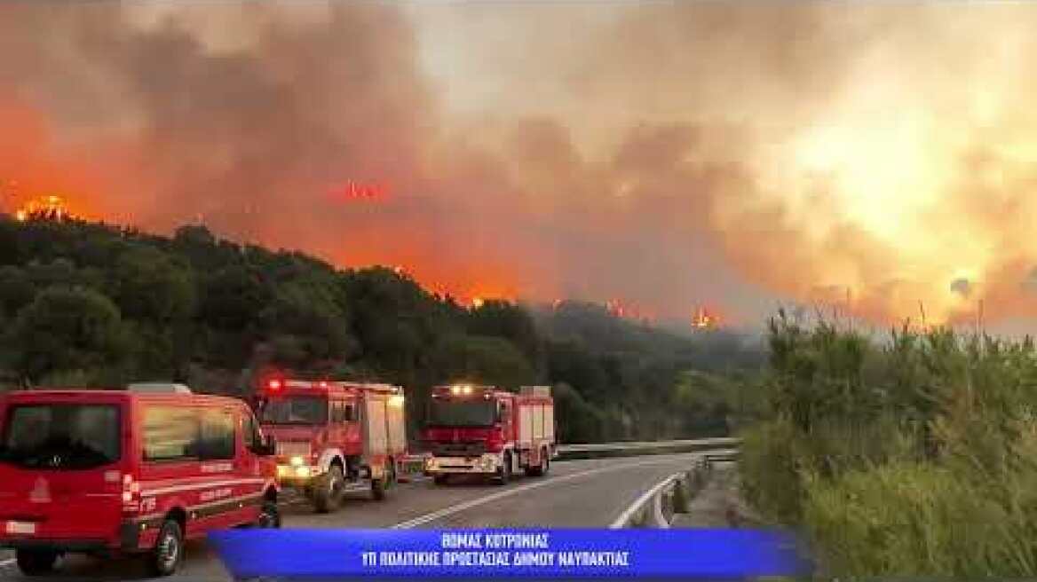 29 Ιουνίου 2025