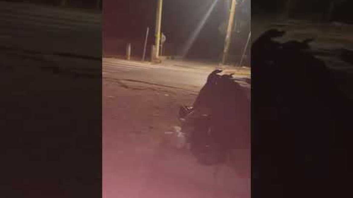 Τσακάλια στη Μικρή Μαντίνεια