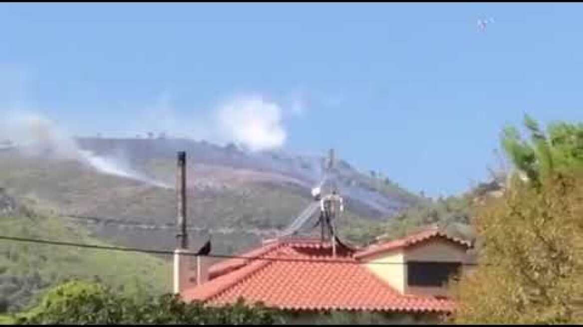 Νέα Μάκρη φωτιά (4)