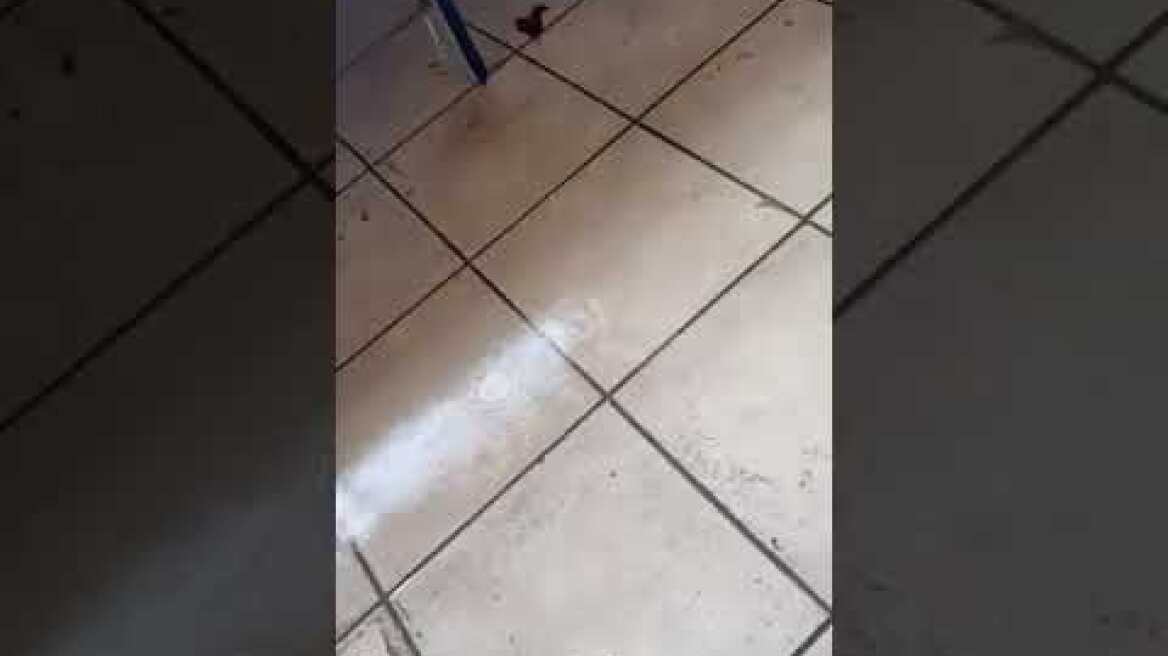 ΕΠΑΛ Αλεξανδρούπολης