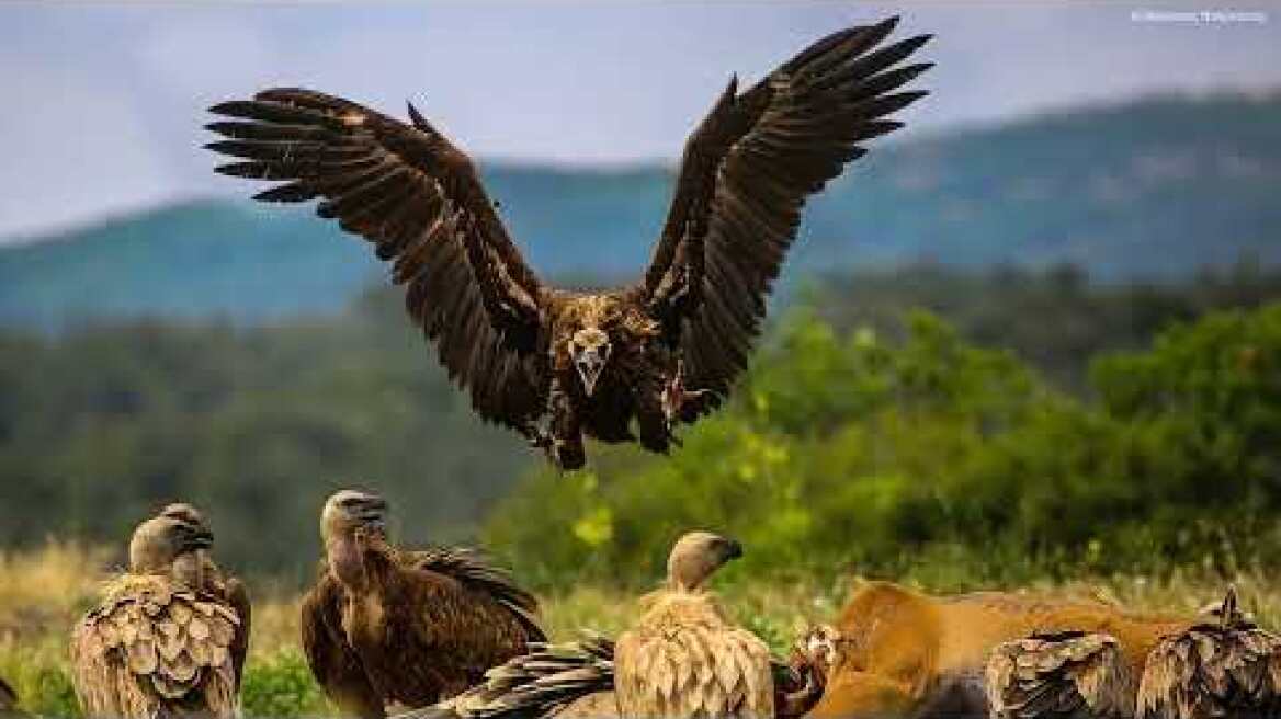 Το μεγαλείο των περιοχών Natura 2000