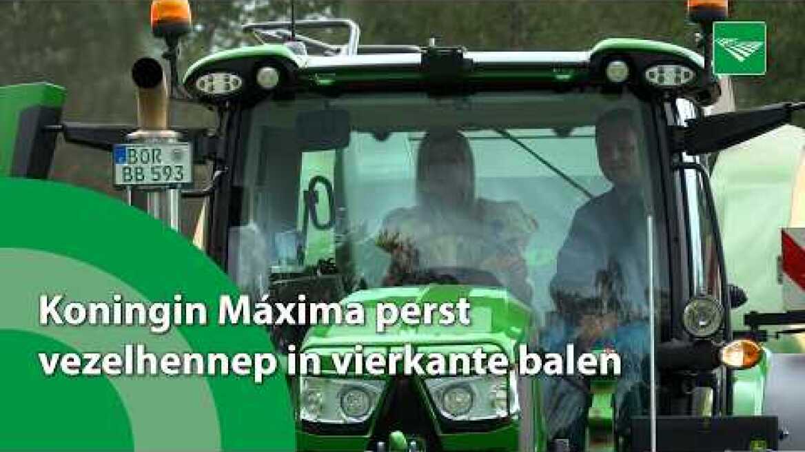Koningin Máxima perst vezelhennep in vierkante balen