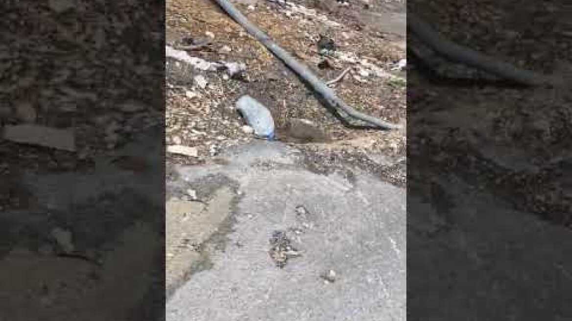 Τρίτο στάδιο (2)