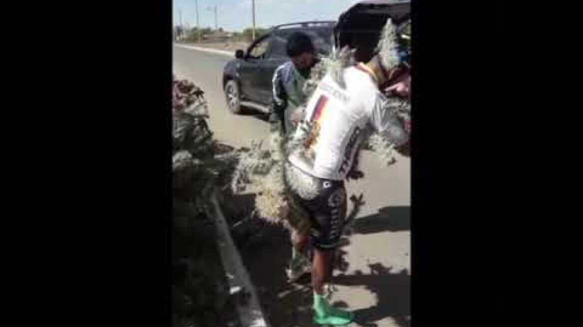 Cyclist loses control of his bike and lands on cactus then this happens