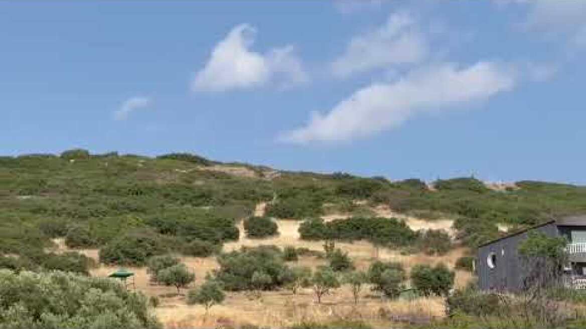 Φωτιά στην Ευκαρπία (1)