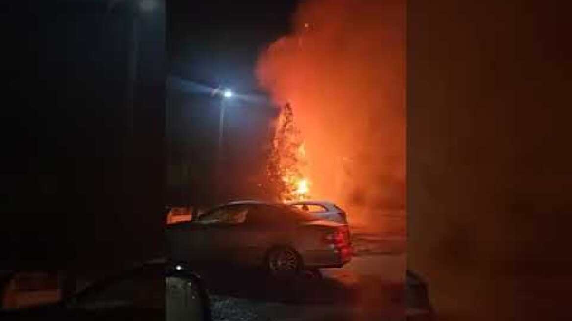 Παρανάλωμα του πυρός έγιναν δέντρα