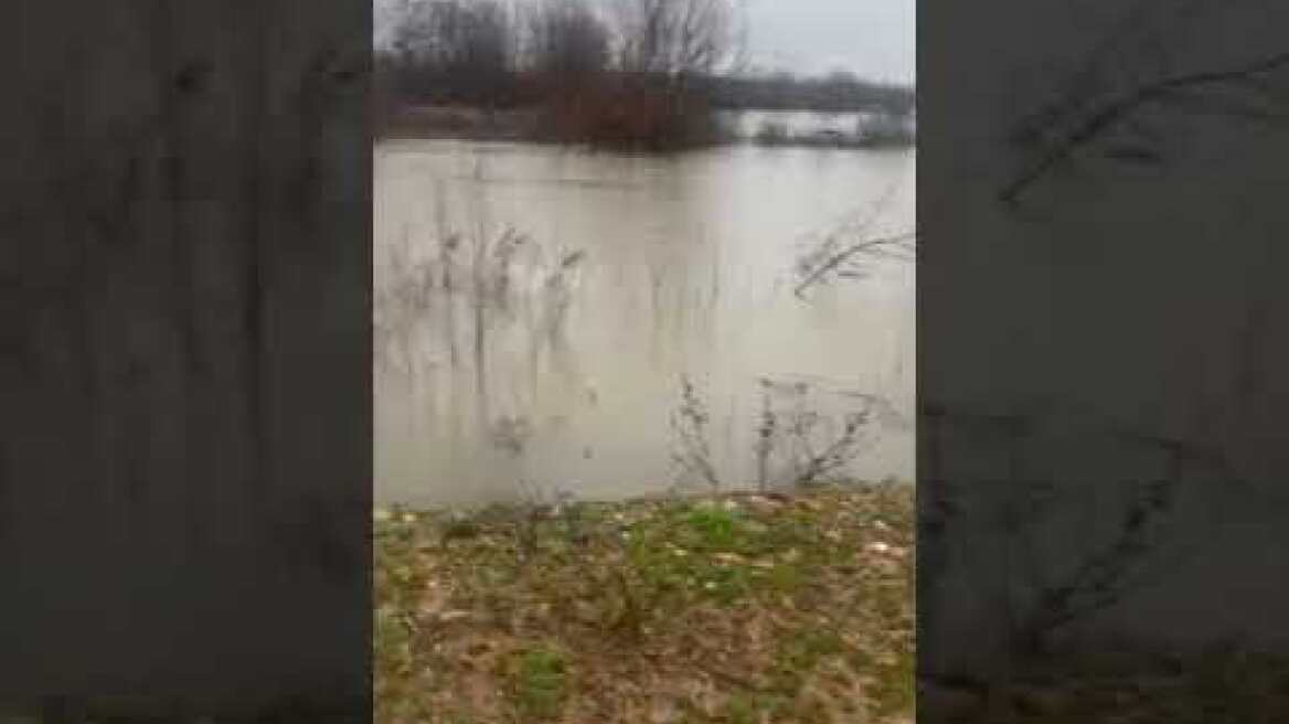 ThessPost - Πλημμύρες στη Λυκόφη του δήμου Σουφλίου