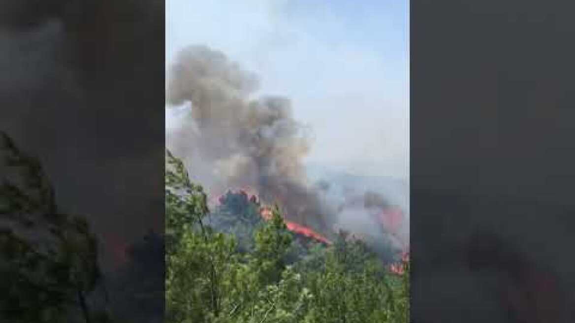 Μεγάλο το μέτωπο στη Μαλώνα Ρόδου , παραμένουν ορισμένοι κάτοικοι για να σβήσουν τη φωτιά