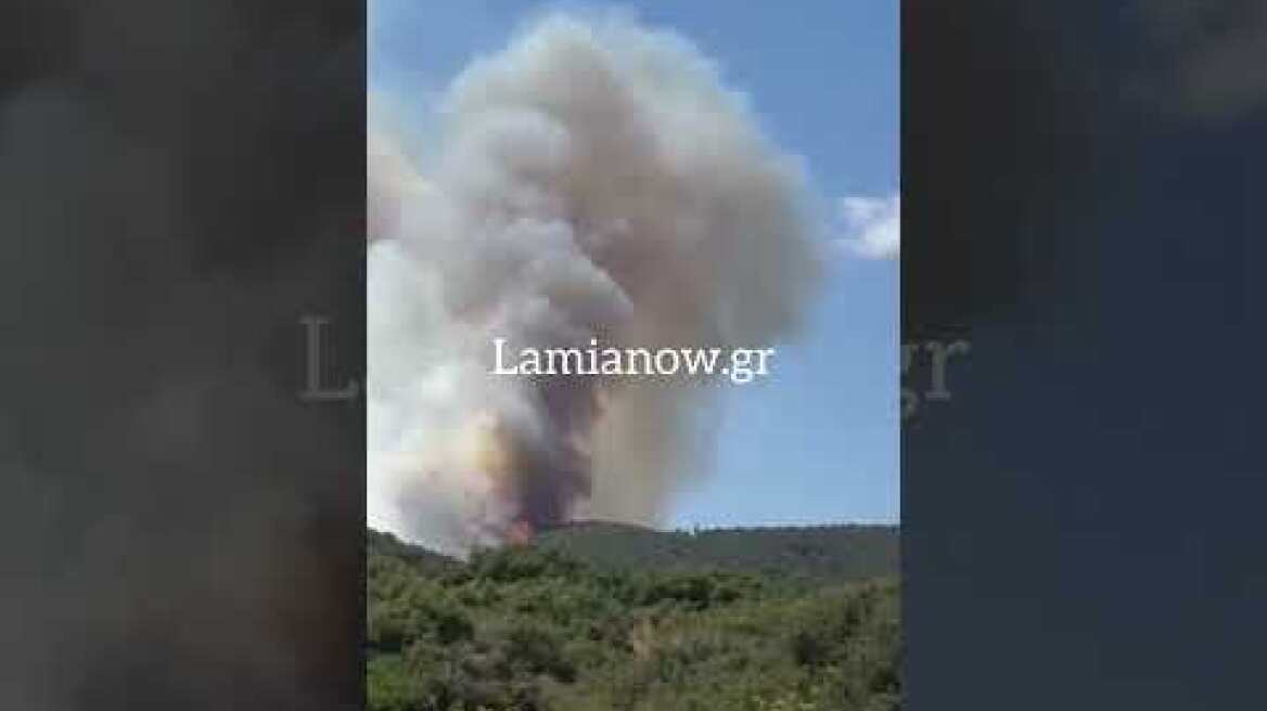 Φωτιά ΚΑΜΗΛΟΒΡΥΣΗ