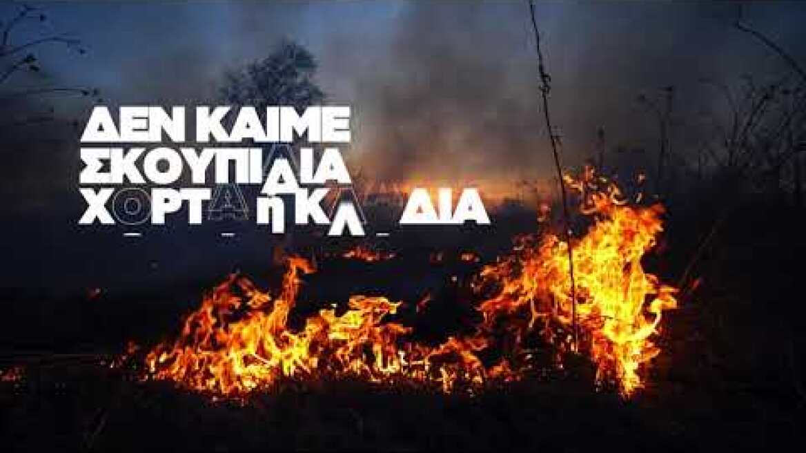 Πολιτική Προστασία