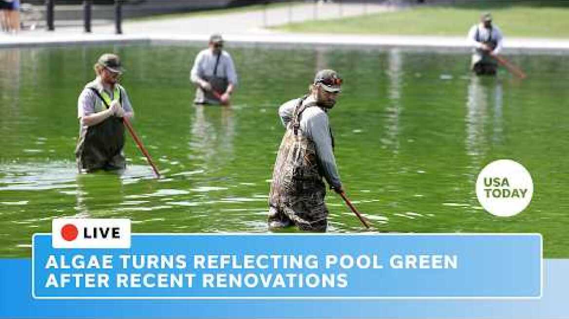Live: Algae turns Lincoln Memorial Reflecting Pool green in Washington, DC, after Trump renovations