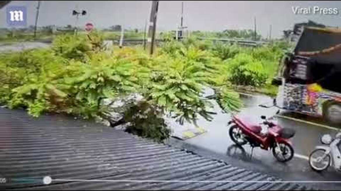 CCTV shows moment train crashes into bus in Thailand