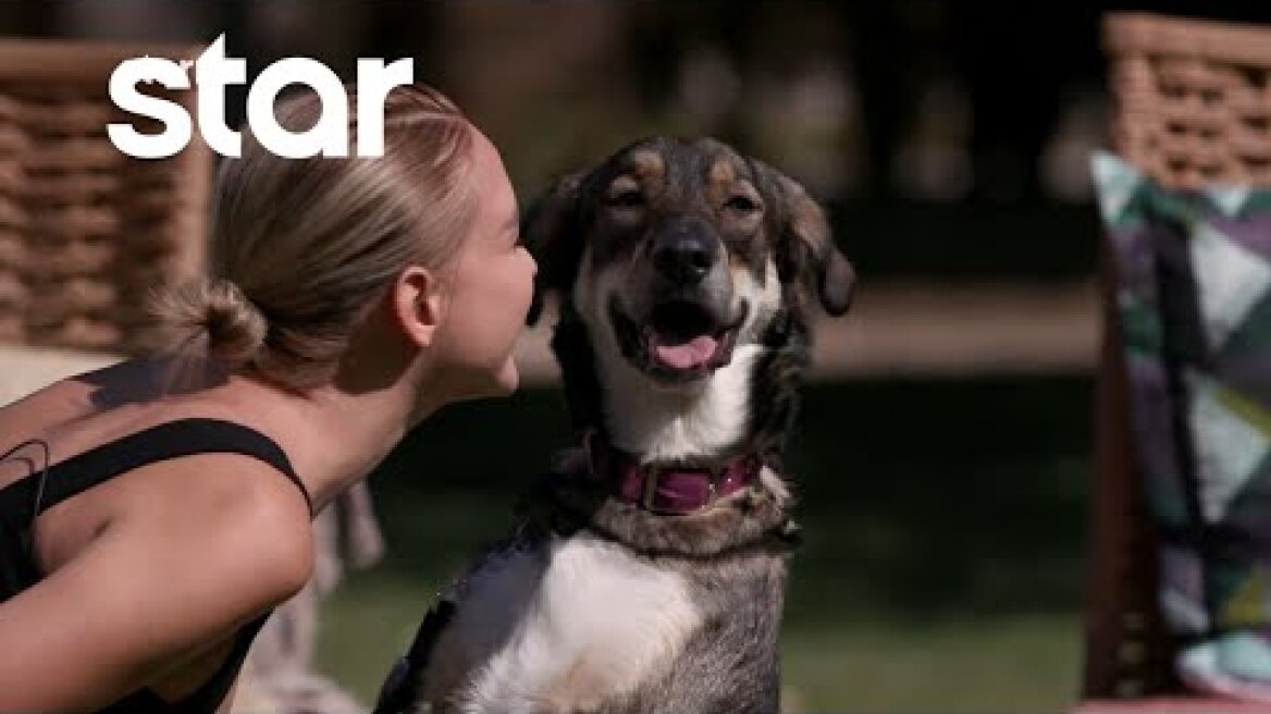 GNTM 5 | Τα μοντέλα φωτογραφίζονται με αδέσποτα σκυλιά!