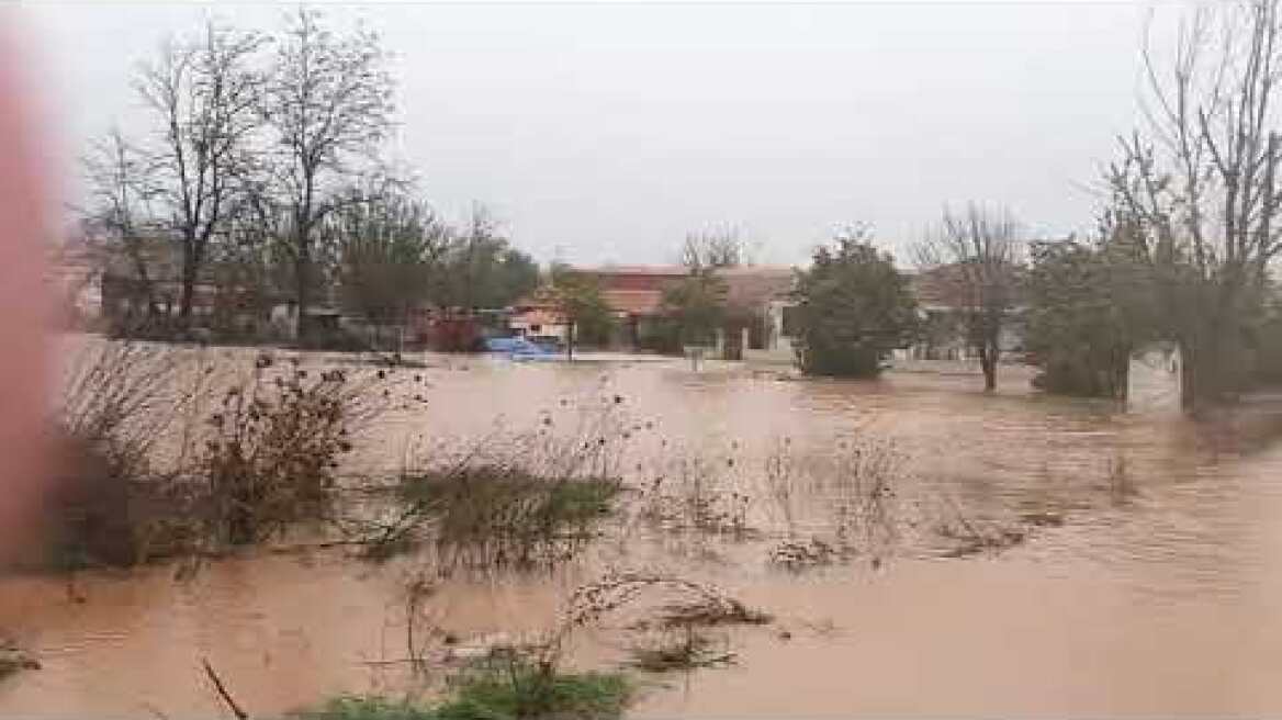 Ανωχώρι Φαρσάλων