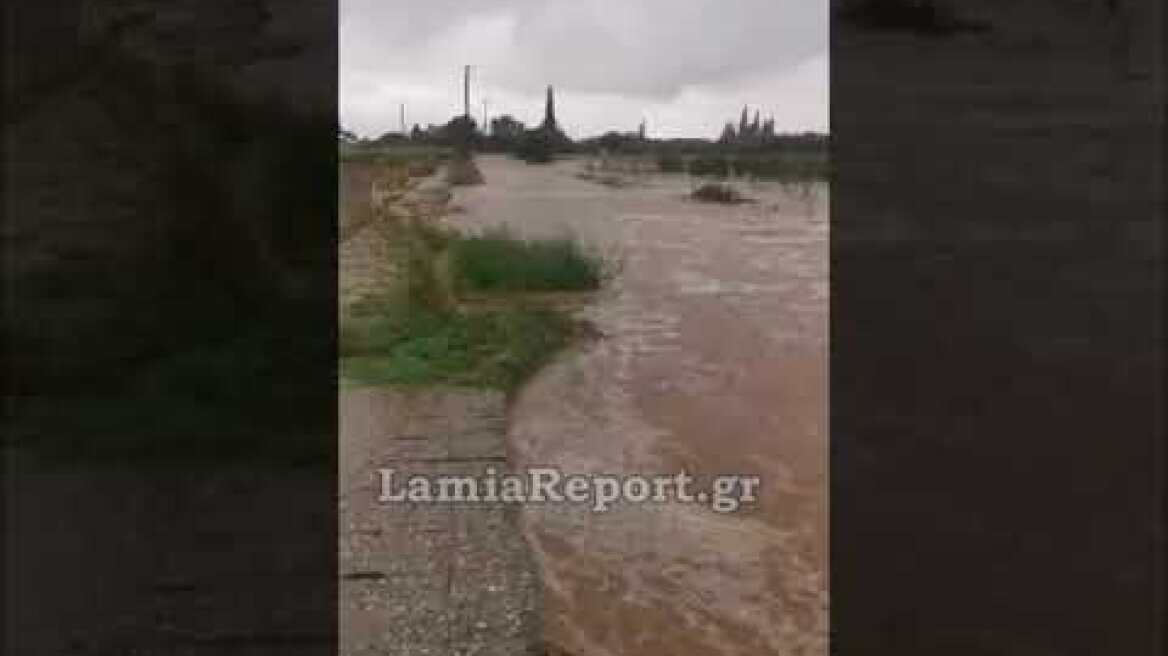 LamiaReport.gr: Καταστροφές στα χωράφια στο Λιανοκλάδι