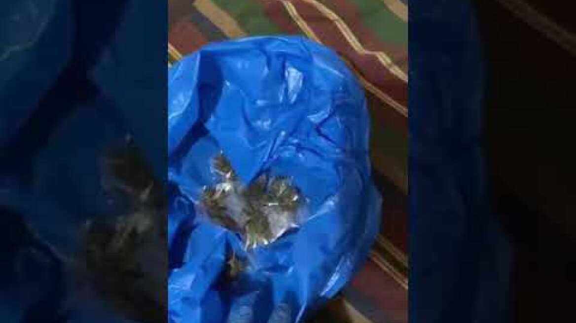 28012024 STREET CRIMES