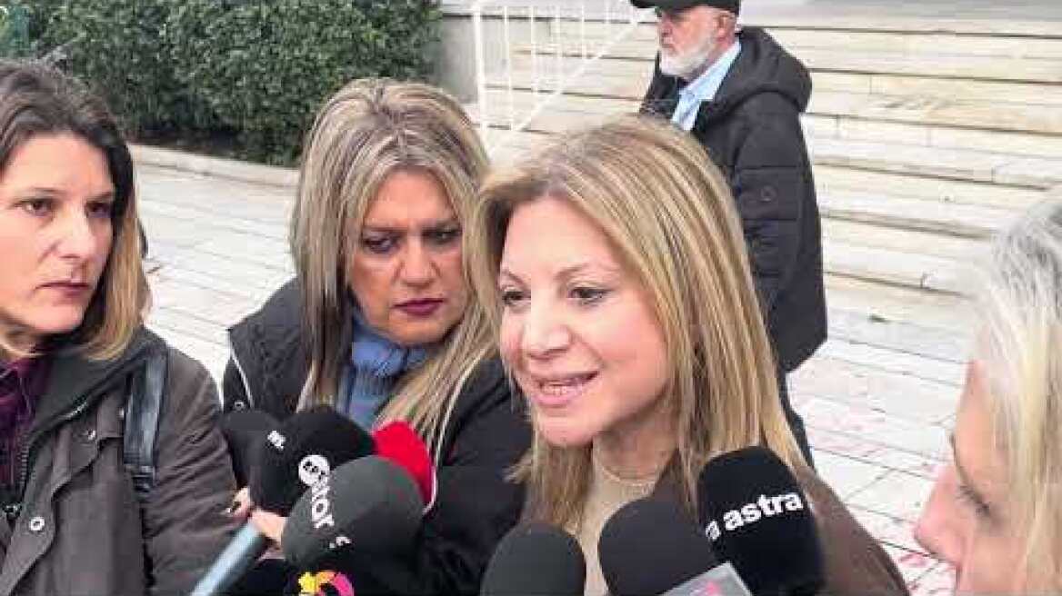 Μ. Καρυστιανού: Ο κ. Μπακαΐμης θα έπρεπε να είναι κατηγορούμενος 