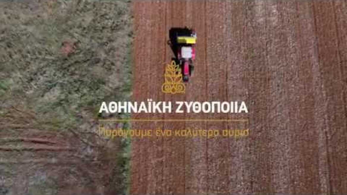 Αθηναϊκή Ζυθοποιία - Πρόγραμμα Συμβολαιακής Καλλιέργειας Κριθαριού