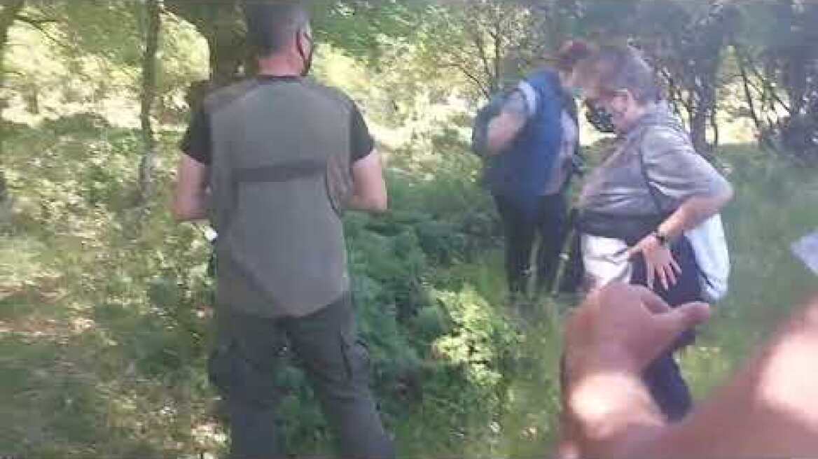 Κυνήγι τρούφας