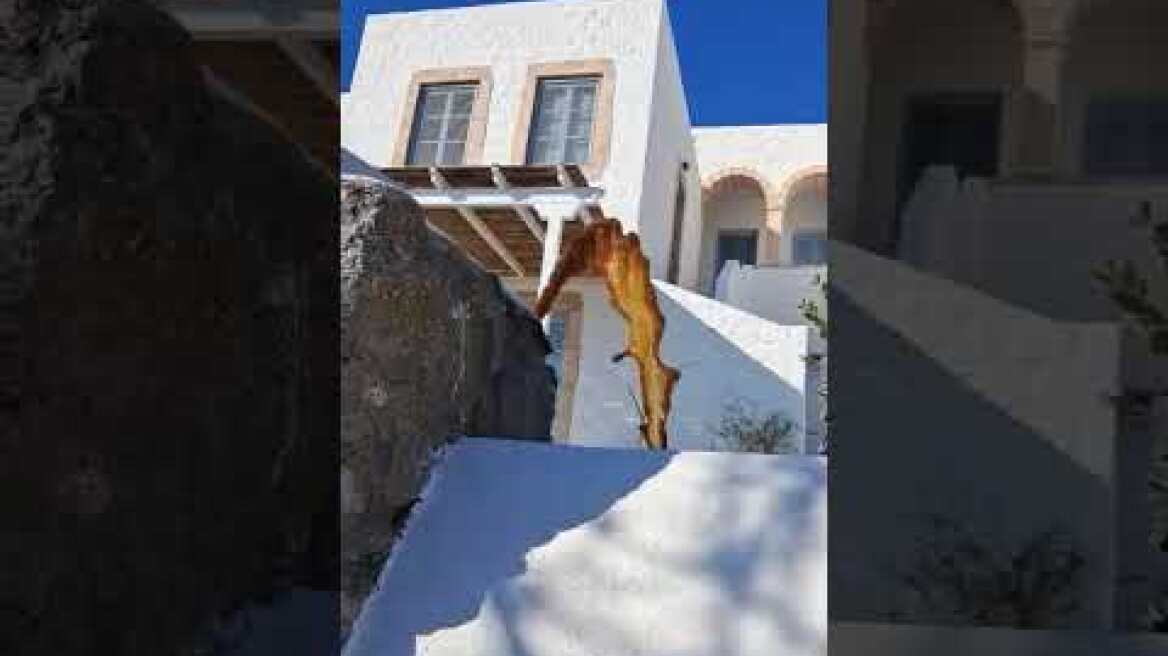Ρύπανση, δυσοσμία και κίνδυνος για την υγεία στην Πάτμο