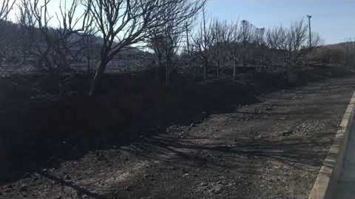 Εικόνες από τα Καλύβια μετά το πέρασμα της φωτιάς