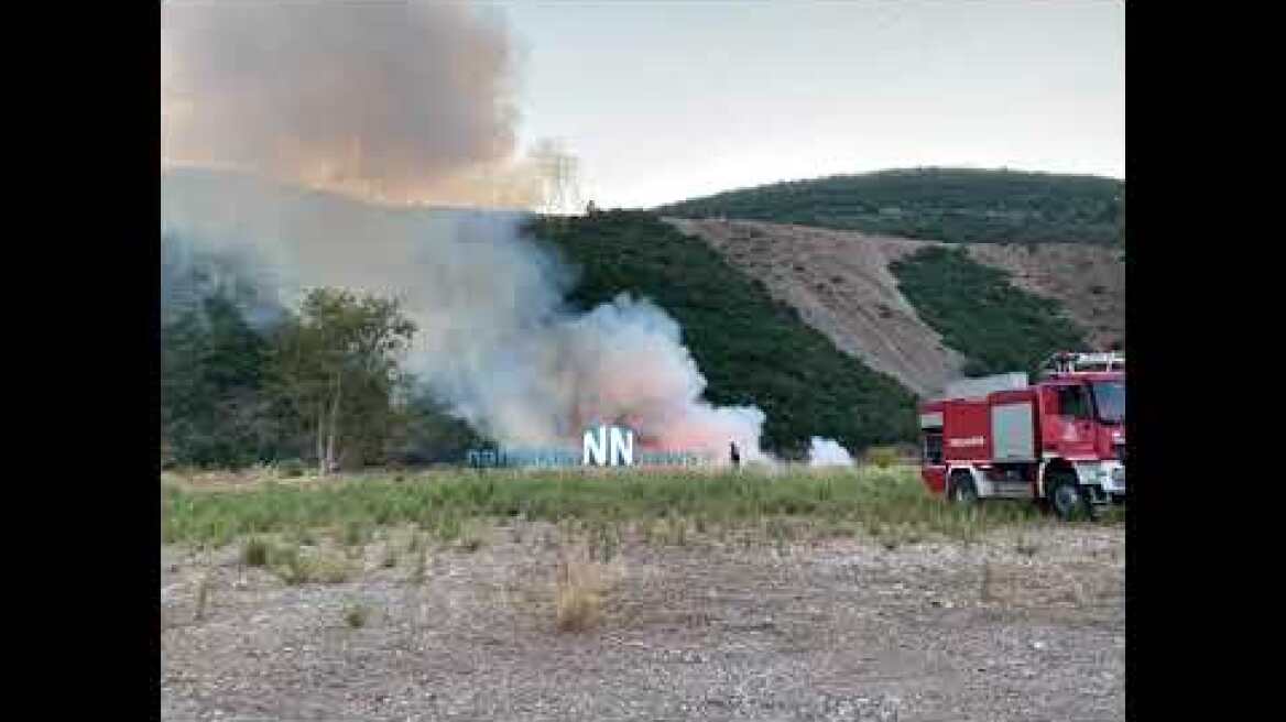 Ναύπακτος: Πυρκαγιά ξέσπασε στο Σκά κοντά στο ΚΤΕΛ Αιτ/νιας