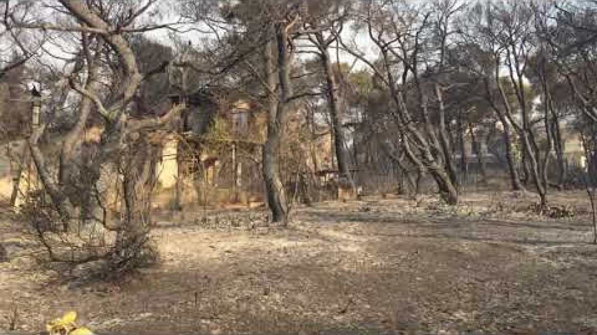 Βαρυμπόμπη -Επόμενη Μέρα