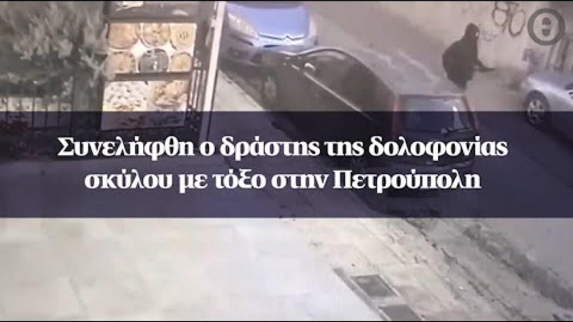 Συνελήφθη ο δράστης της δολοφονίας σκύλου με τόξο στην Πετρούπολη