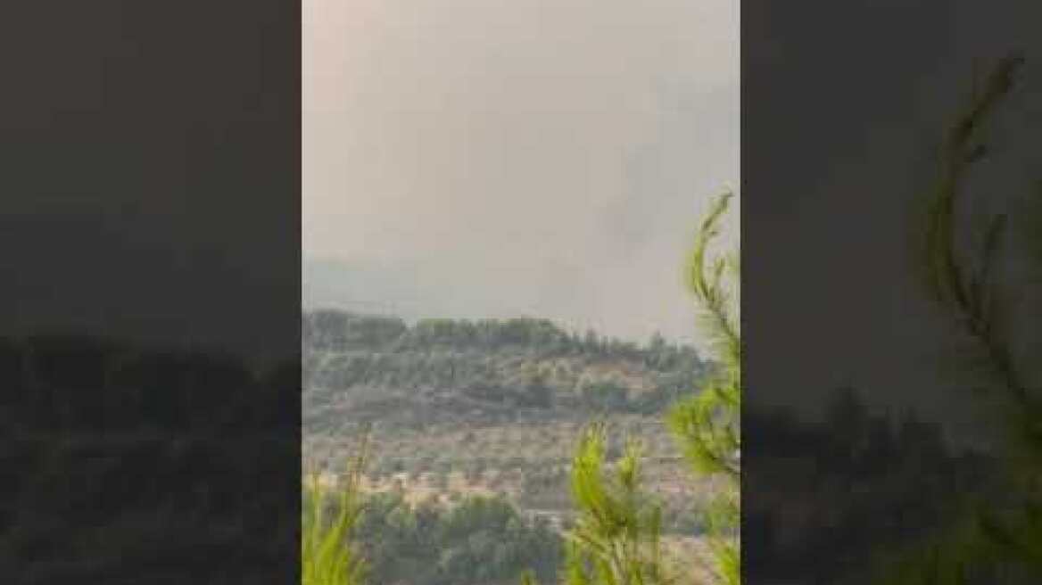 Αρχαία Ολυμπία 1