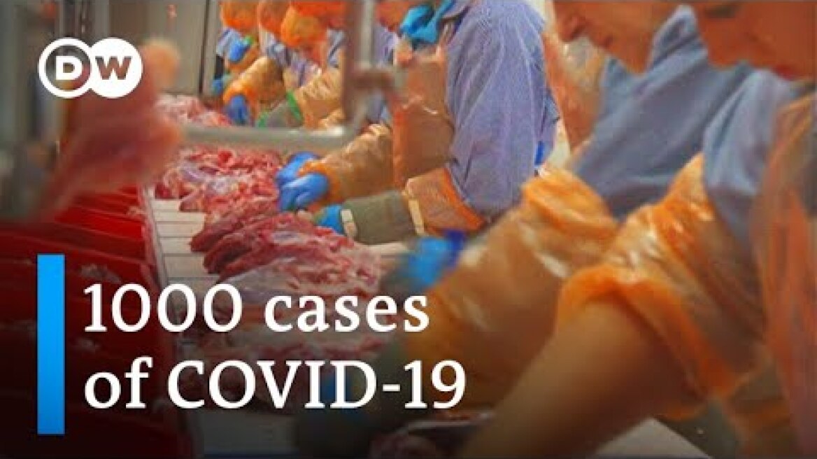 Coronavirus infects more than 1000 at German meat-processing plant | DW News